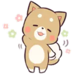 Pretty Puppy